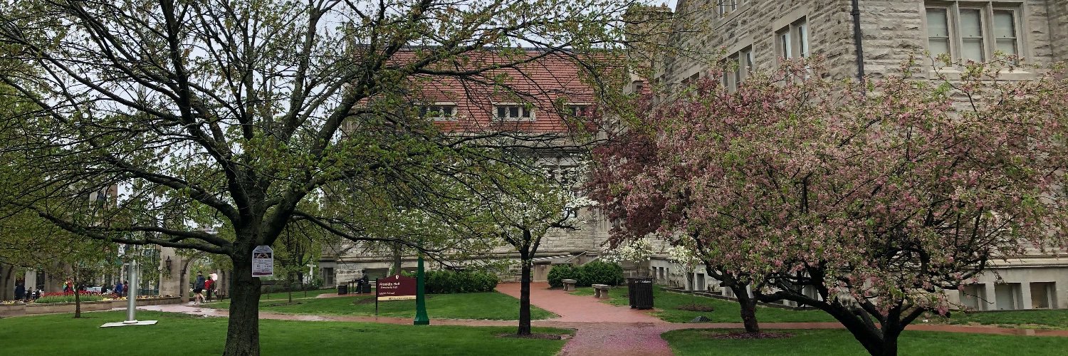 Elaine Monaghan banner