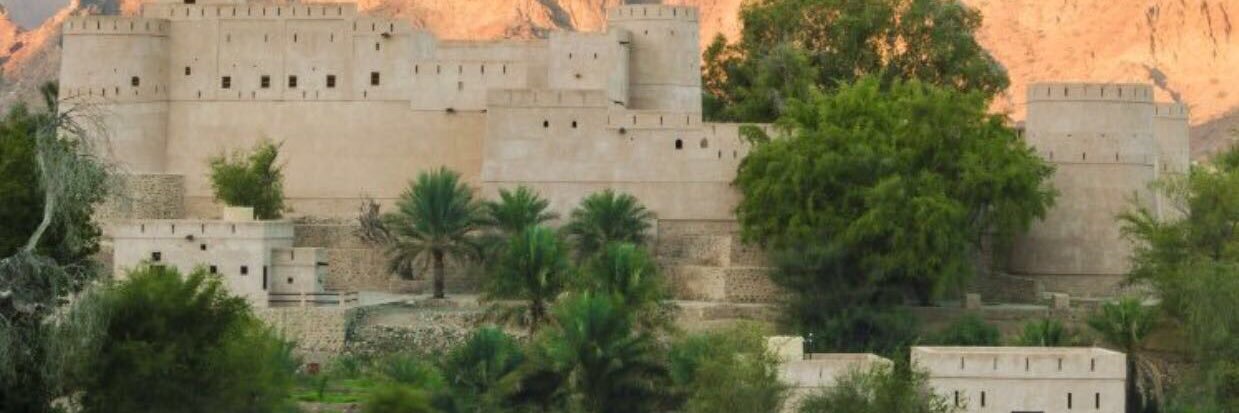 أبوحمد المعمري banner