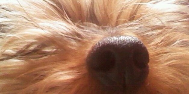 tamararebollar's profile banner image