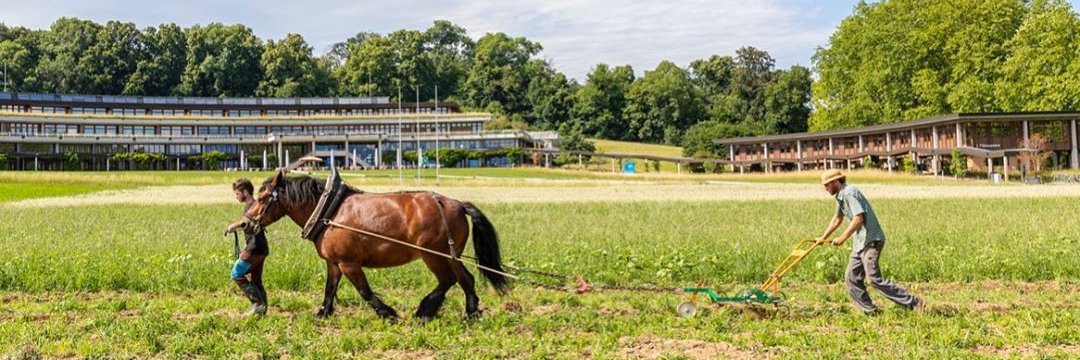 UNIL en Transition banner