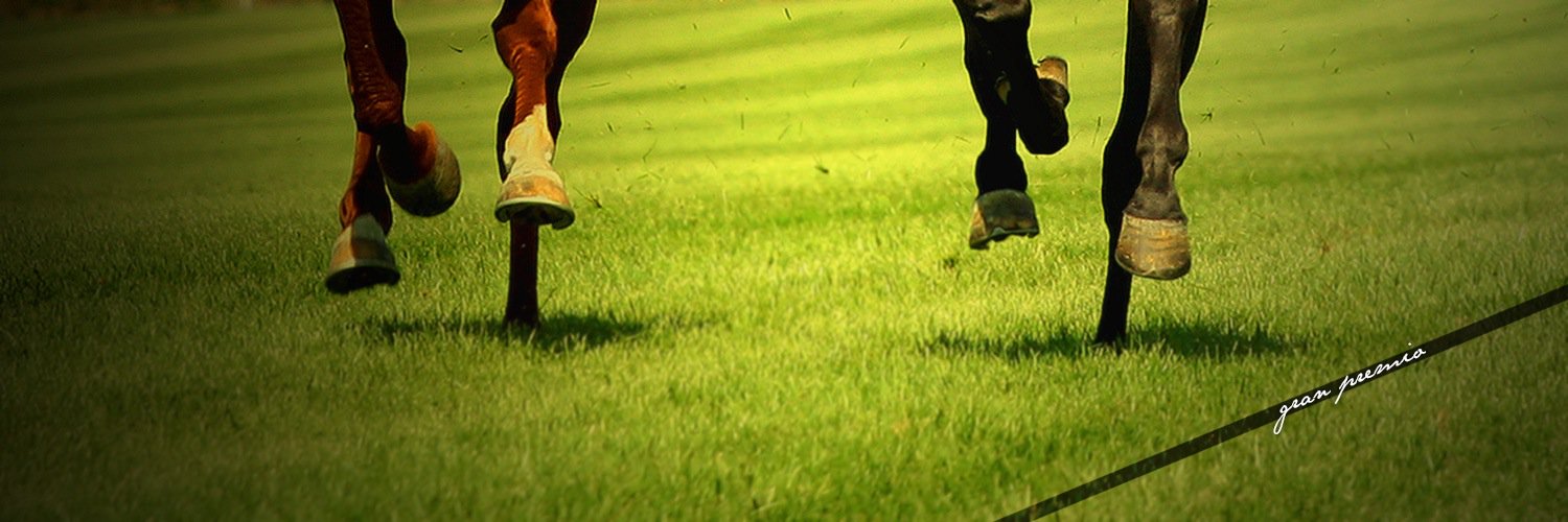 GranPremioTurf's profile banner image