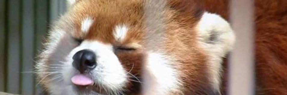 TOMATOO119's profile banner image