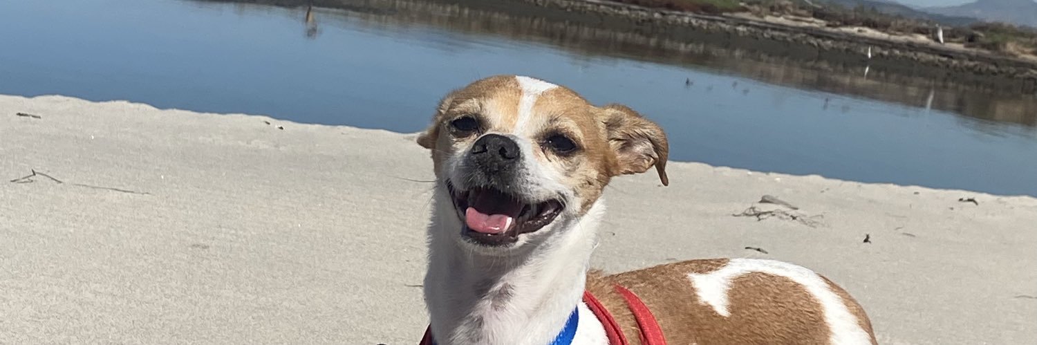 tufinepapi's profile banner image