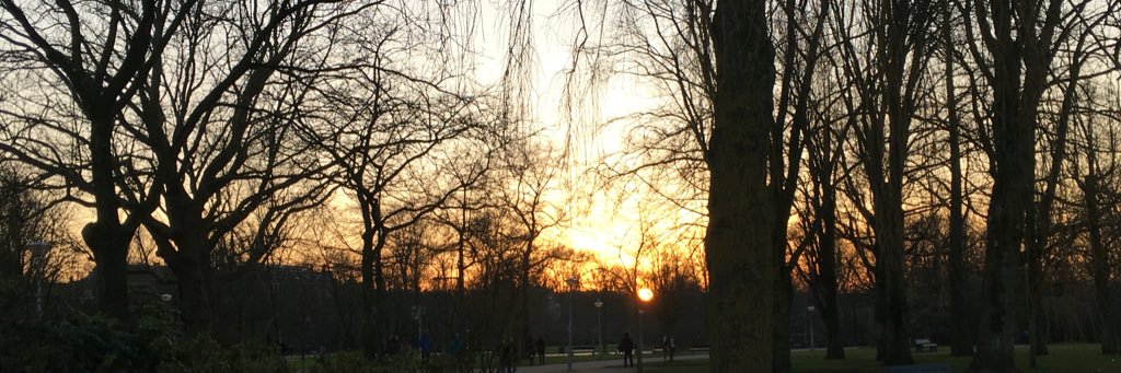 joss3rg's profile banner image