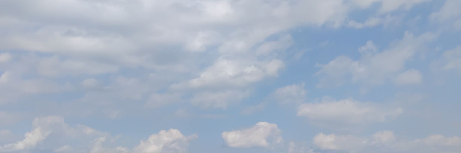 YMayuni's profile banner image