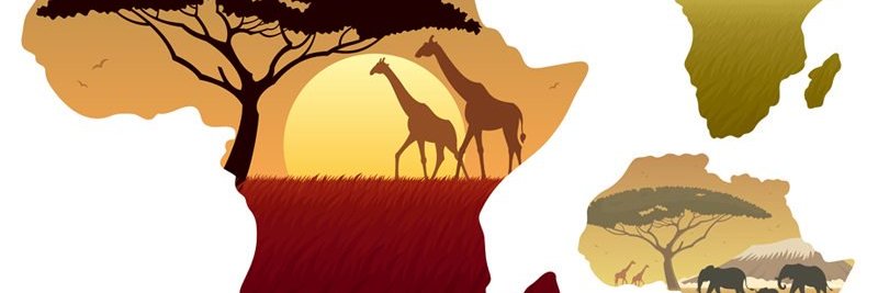 texpdf's profile banner image