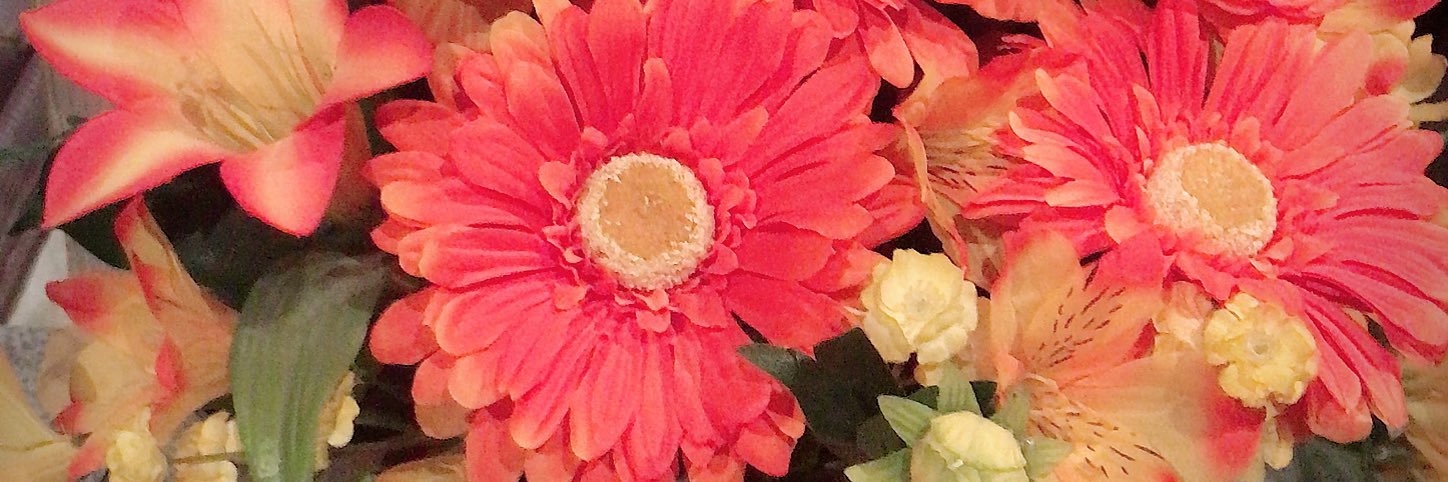 CLARIS526's profile banner image