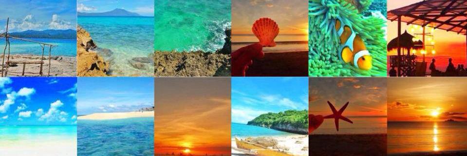 cccamsur's profile banner image
