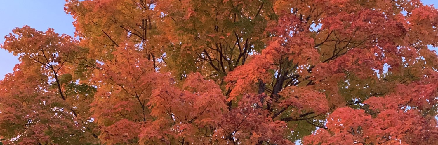 Winnie Hsu (she/her) banner