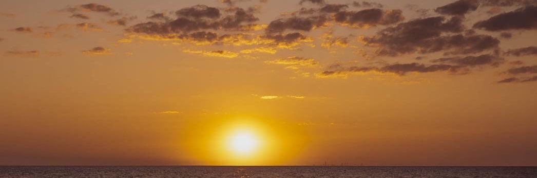 Roscoe Resells banner