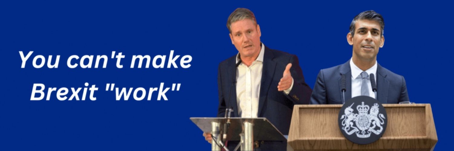 The Rejoin EU Party's banner