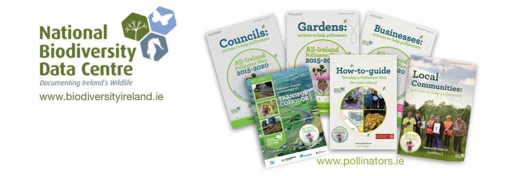 All-Ireland Pollinator Plan's banner