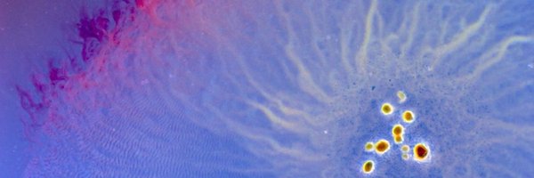 IslaMyxoLab Profile Banner