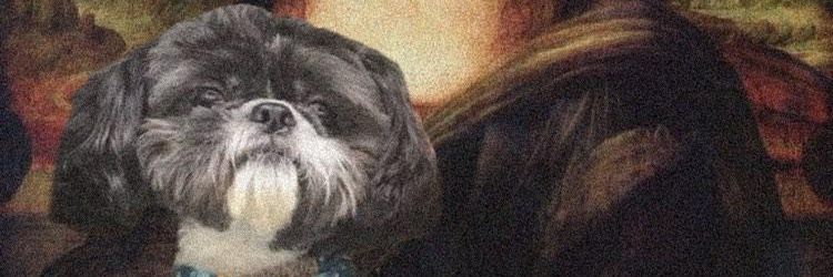 camprod_'s profile banner image
