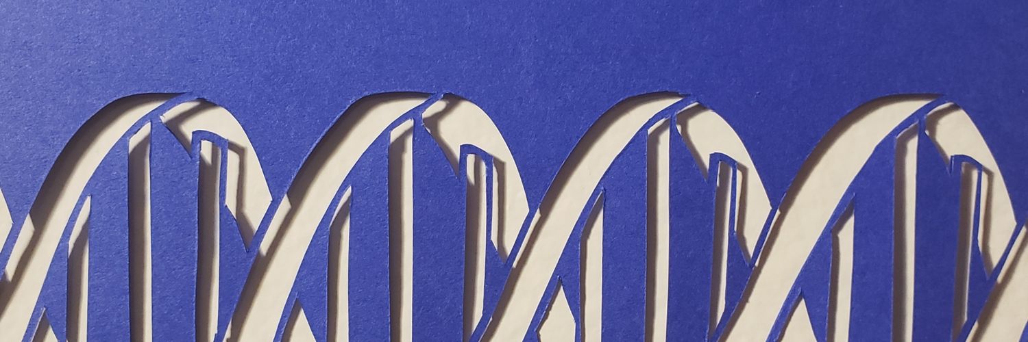 Ronnie Chinnick (she/her) banner