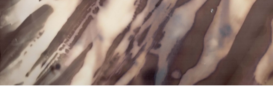 AmberZoeC's profile banner image