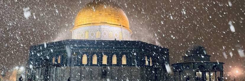 حسن رضائي banner