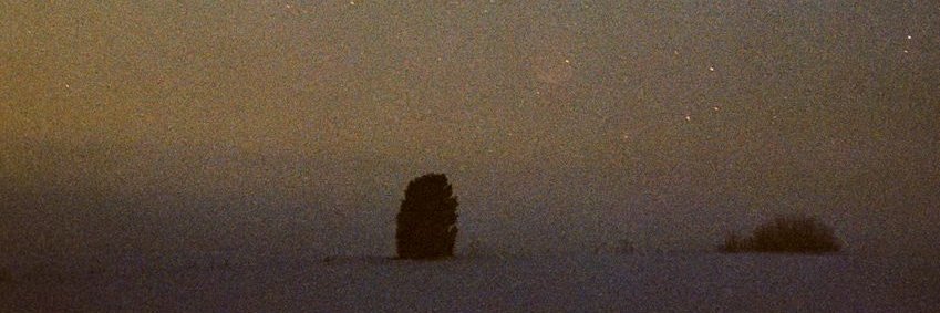 Benjamin Mallada banner