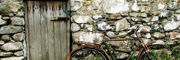 polthedaddy Profile Banner