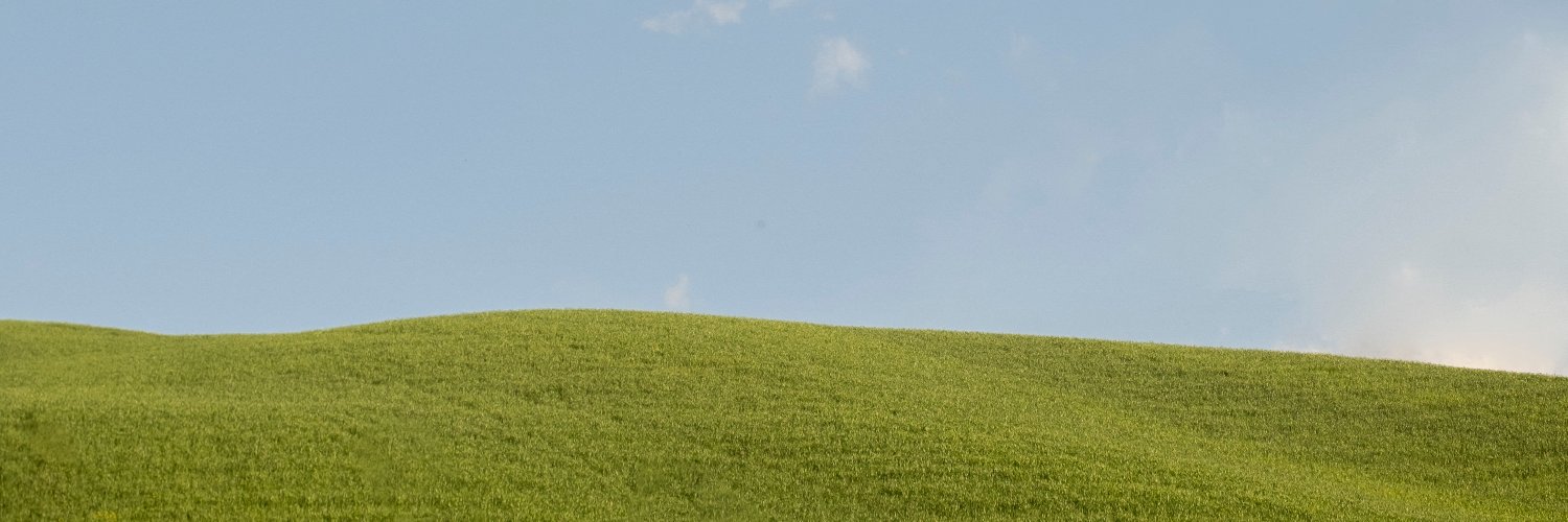 harrychenx's profile banner image