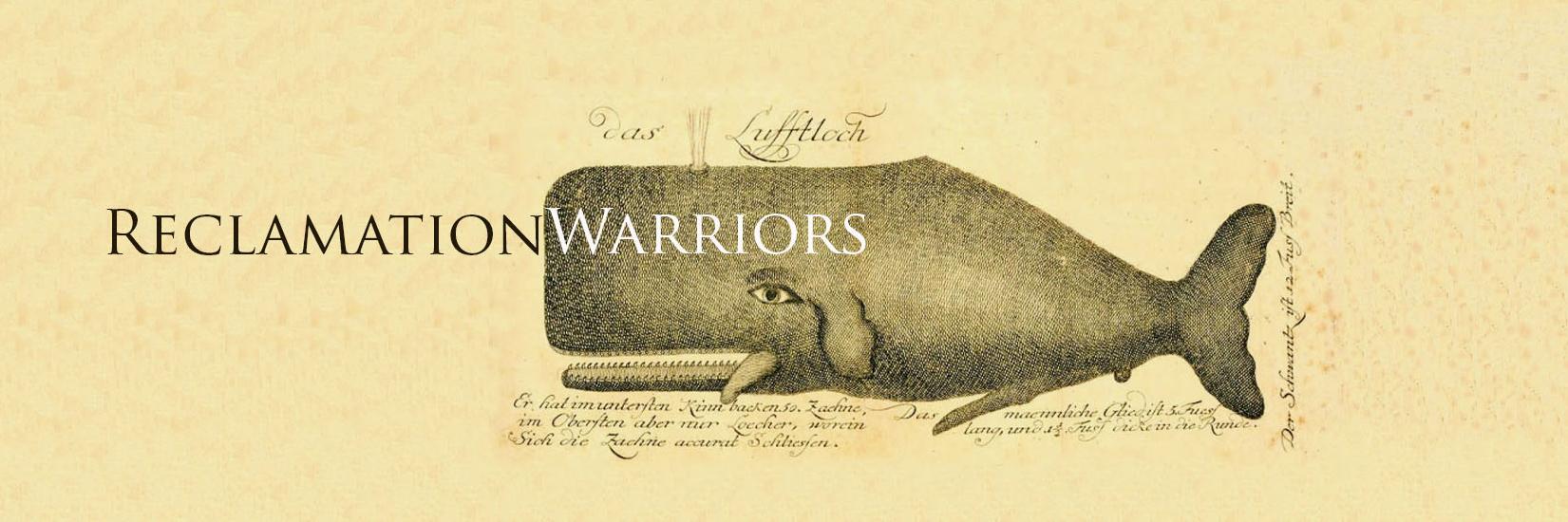 RecWarriors's profile banner image