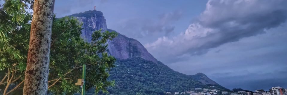 vepaimalves's profile banner image