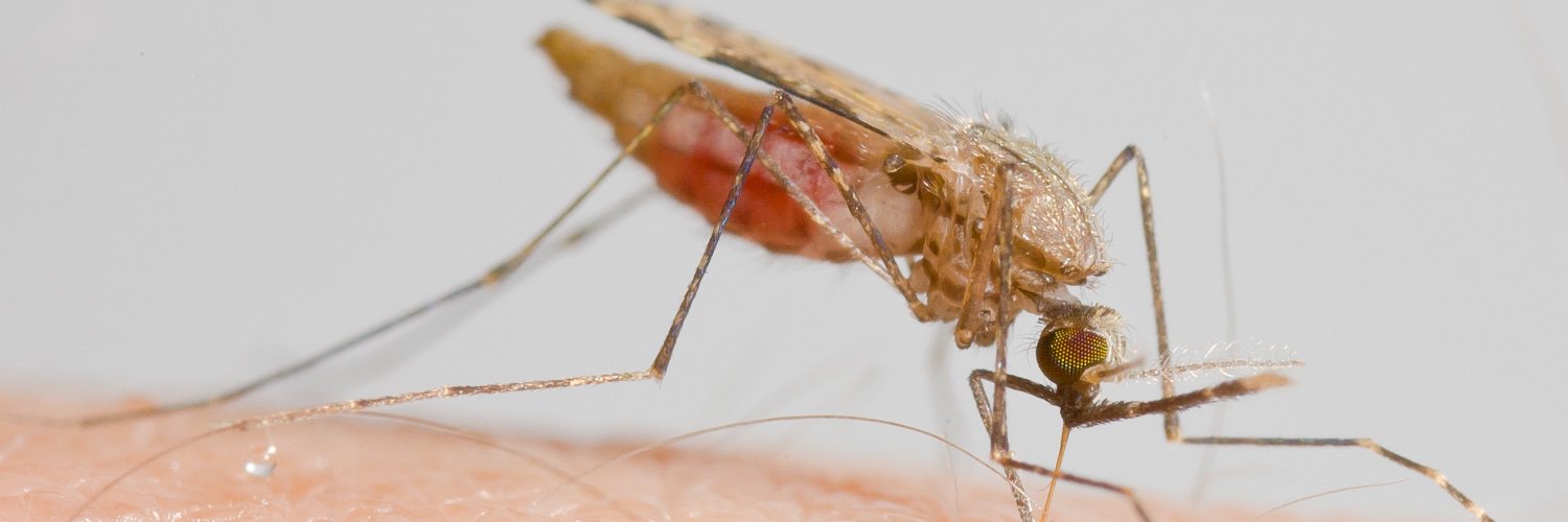 One Health Entomology Group, Wageningen University's banner