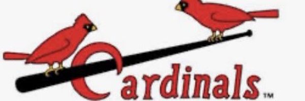 Cardsphile Profile Banner