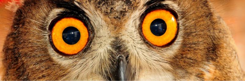 GreenAcresAnimalPark banner