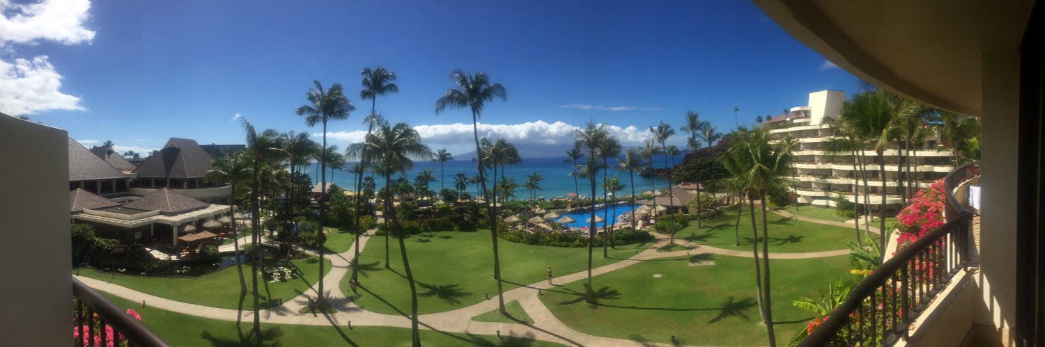 Ryan L. Steinberg MD banner