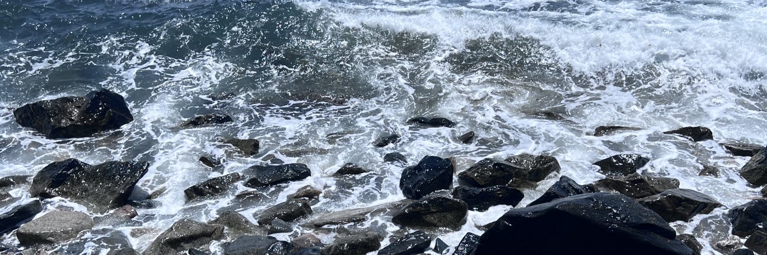 lizardbetter's profile banner image