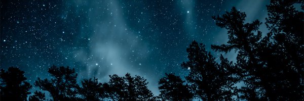 rhin0247 Profile Banner