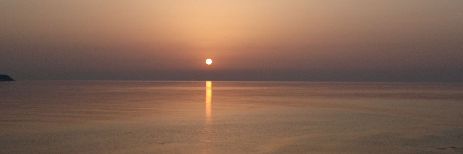 ☬ 羊飼い☆。.:＊・゜ banner