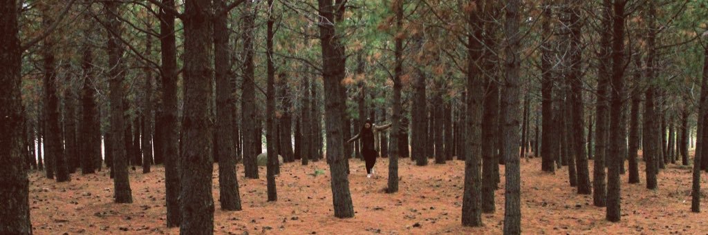 BrenSepulvedaa's profile banner image