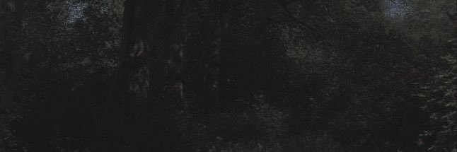 rwixsp's profile banner image