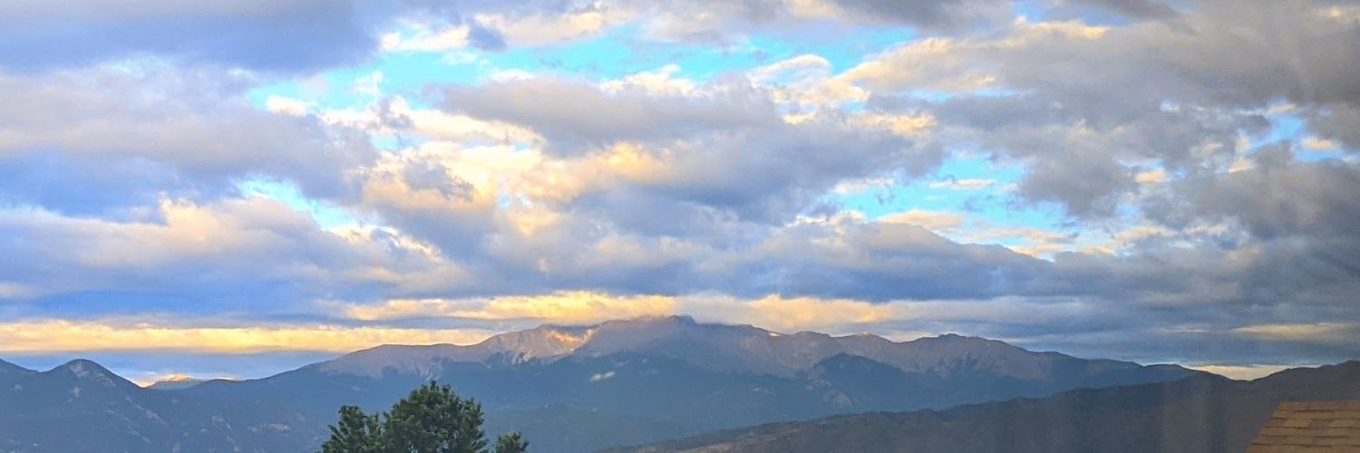 56dandelion's profile banner image