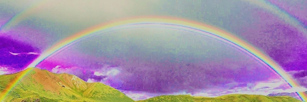 sonosels's profile banner image
