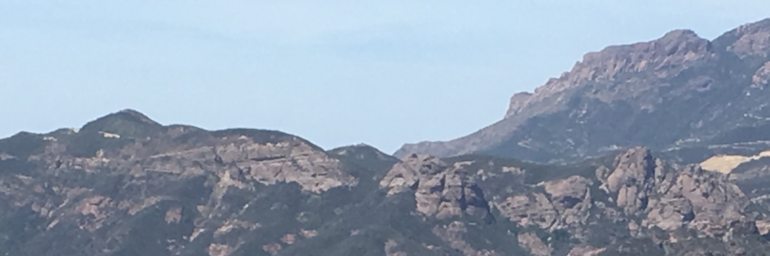 FedermanLexi's profile banner image