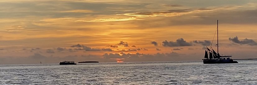 Xavyy91's profile banner image