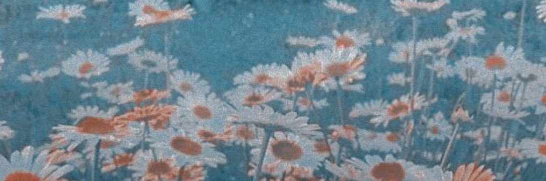 fillecliche's profile banner image
