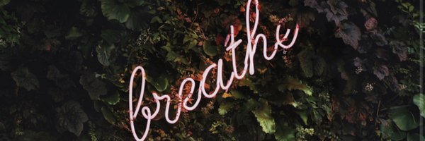 _UppTooParr_ Profile Banner