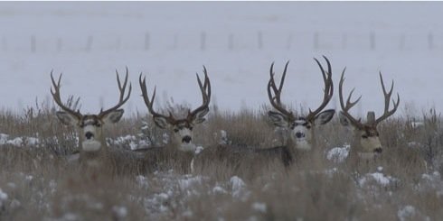 DougSnow6s's profile banner image