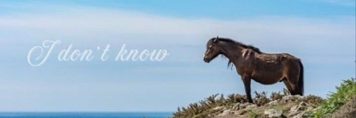 juaa ‧₊˚ᶻz banner