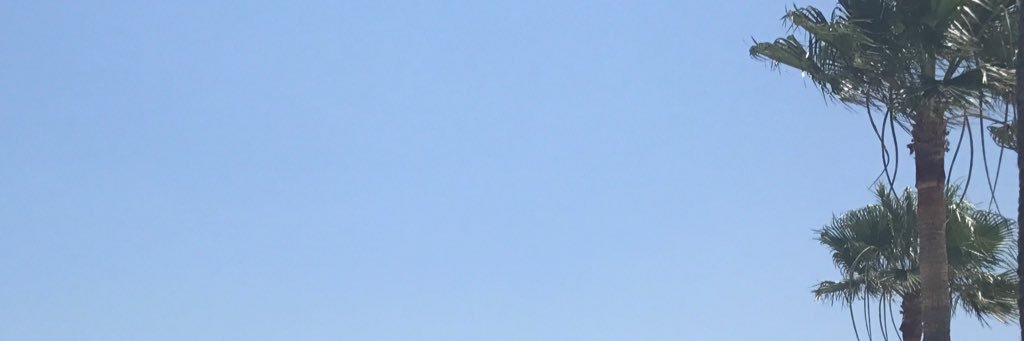 zaynahussein's profile banner image