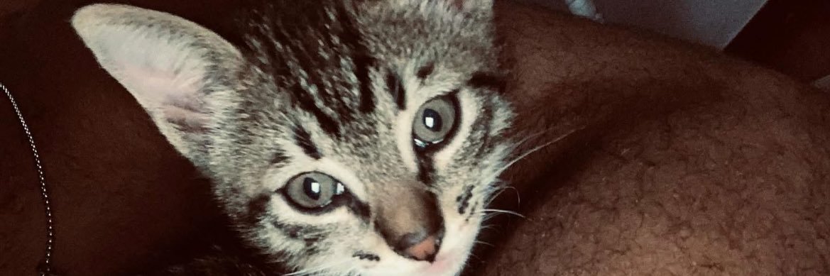 Gonçalo ⚡ banner