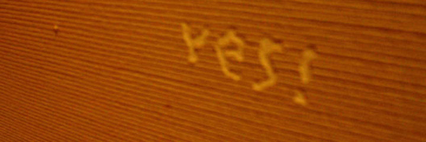 福花 banner