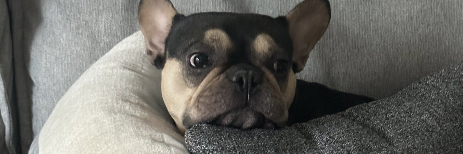 brizy_w's profile banner image