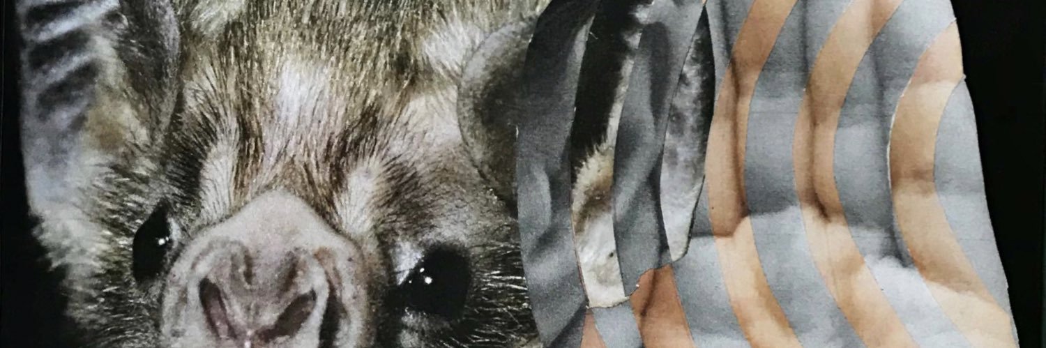 HeySebasRdz's profile banner image