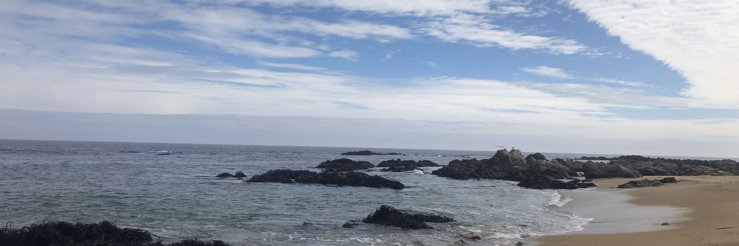Alexandra Vasquez banner