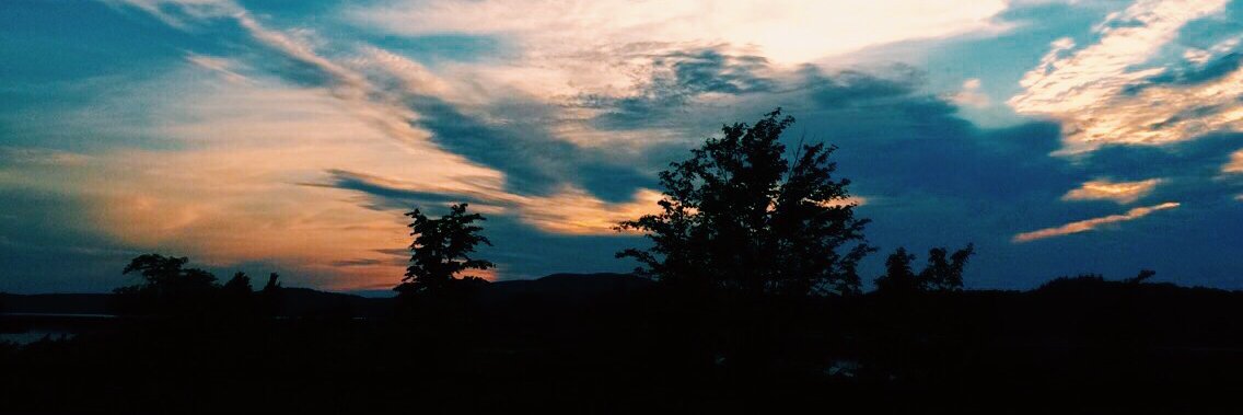 annalisew_'s profile banner image
